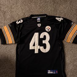 Authentic Troy Polamalu Jersey