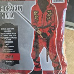 Ninja Costume