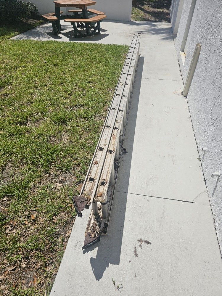 Roof Ladder