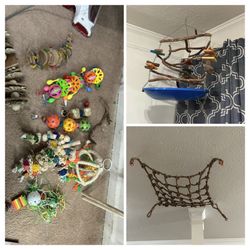 Bird Toys 