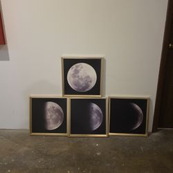 Full Moon Cycle Paintings