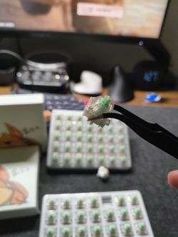 Gateron Baby Kangaroo 2.0 keyboard switches (70 pieces)