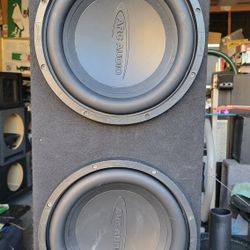 12inch  Arc Audio Subs 
