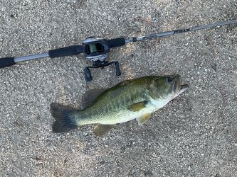 Abu Garcia MAX baitcaster