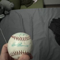 Signed Minor League Baseball 