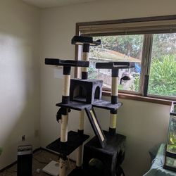 Black Cat Tree 