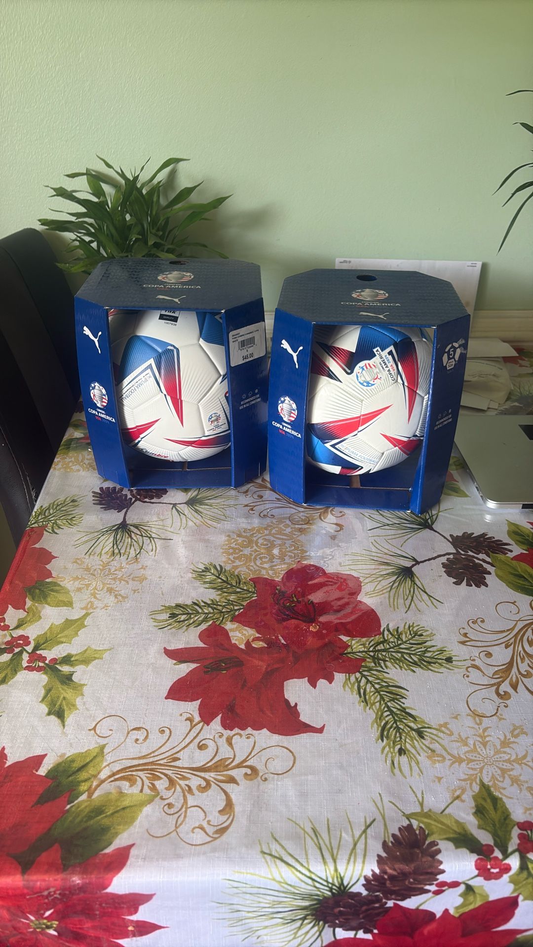 TWO COPA AMERICA BALLS FOR 90$