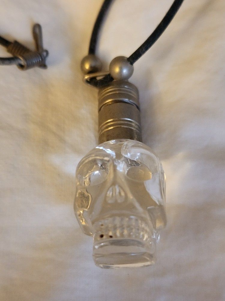 Clear Skull That Lights Up. Super Cool!