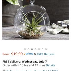 Succulent Globe Fixture