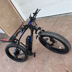 Ebike-Mountain Bike