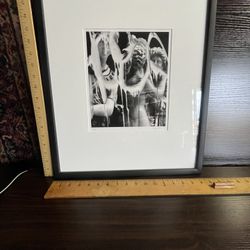 Framed Art Numbered/Signed