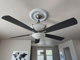 Beautiful high quality Ceiling Fan