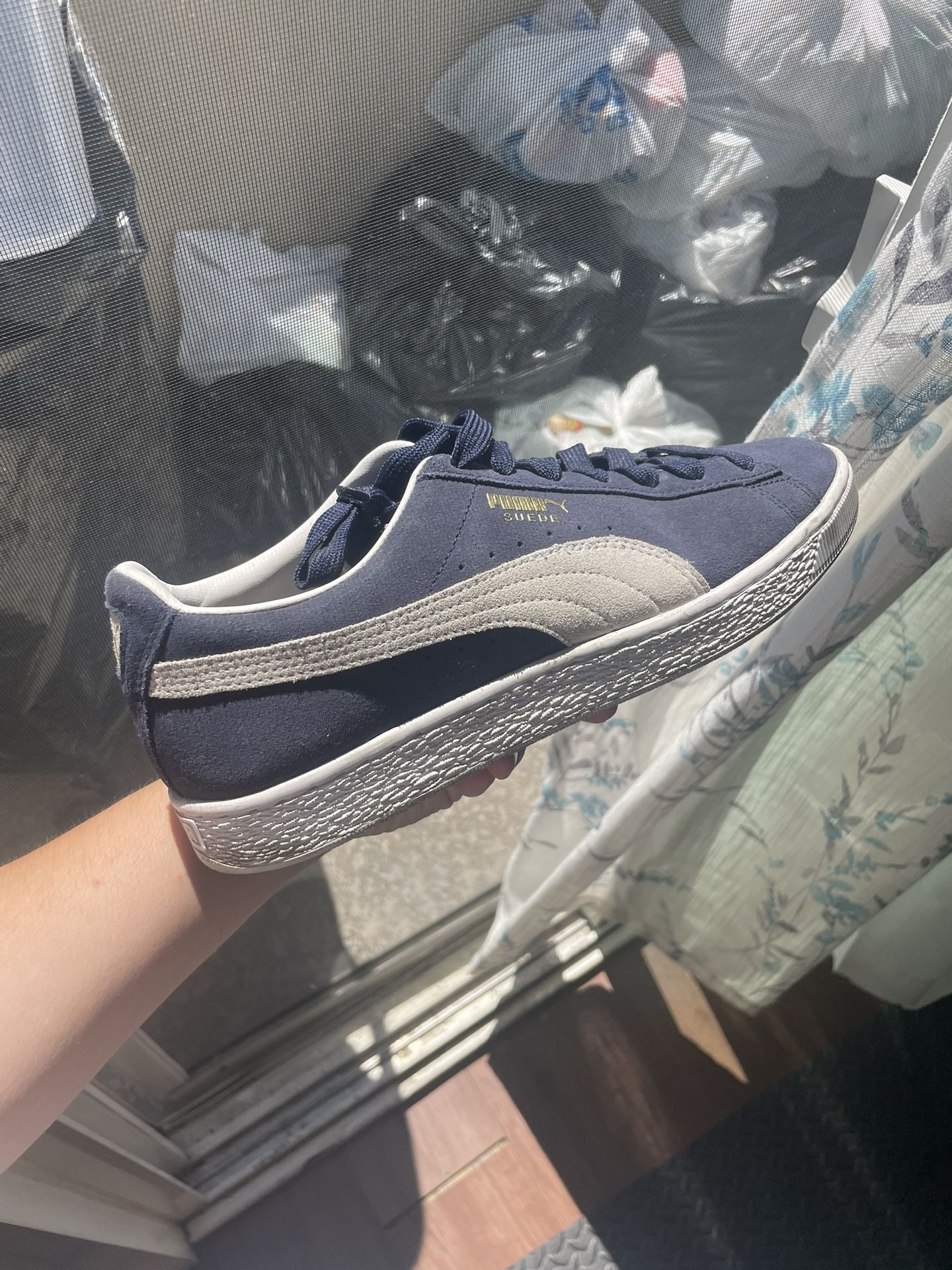 Puma, Blue