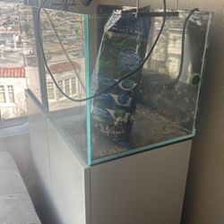 complete professional aquarium!!