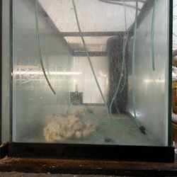 Fish Tank 75gallon And 55 Gallon 