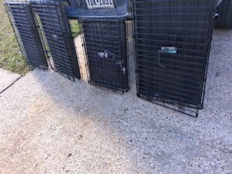 Dog kennels