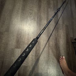 Shimano Teramar  7’6” Med Hvy New Said Water Fishing Rod. 