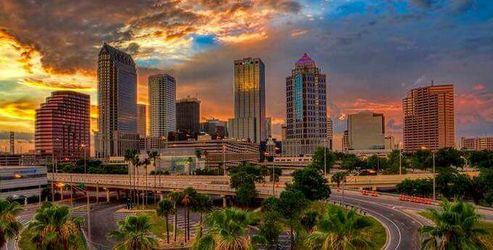 Need Photos taken in or around Tampa?