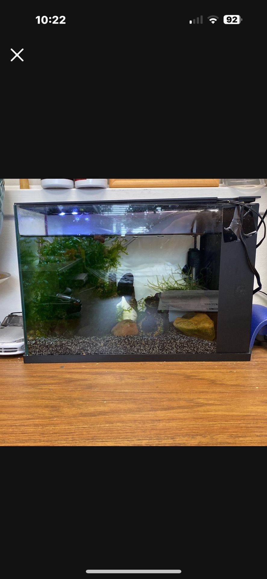 3g Fish Tank With Built In Filter And Moss
