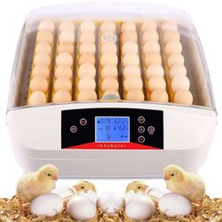 56 Egg Incubator（Jh2222)