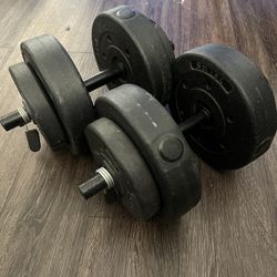 2 Dumbells With Extra Weights 