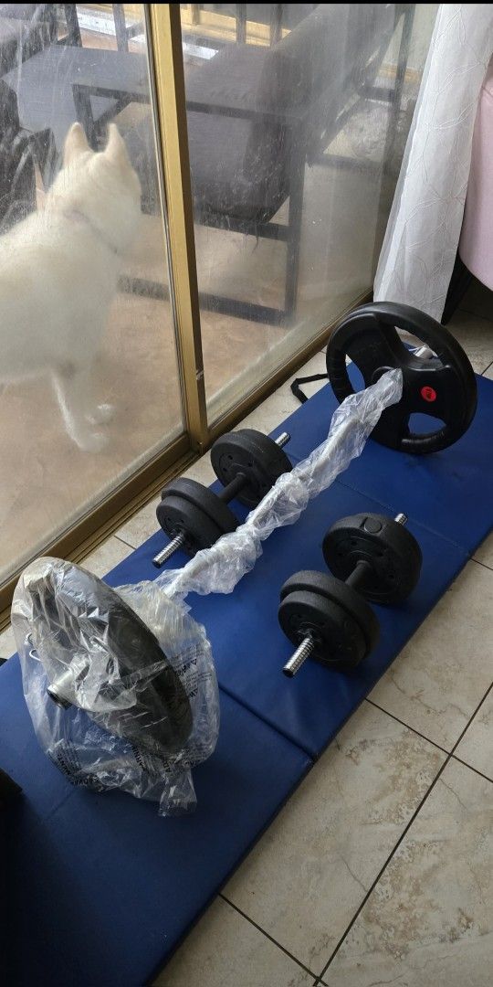 Curl Bar With Olympic Plates 110 Lbs Plus 1 Pair of 20 Lbs Dumbbells Brand New