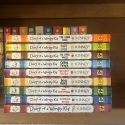 Diary Of A Wimpy Kid Series, Kids Christmas Gift