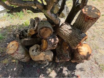 Free firewood