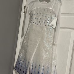 Elsa Disney Costume