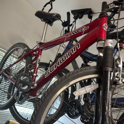 Schwinn Ranger 16in Bike