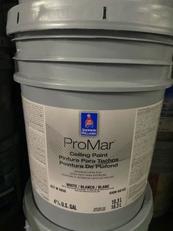 CEILING white Sherwin Williams Paint