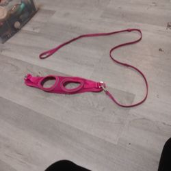 Dog Or Cat Leash Small Harnes 