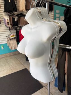 torso mannequin.