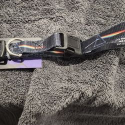 Pink Floyd Dark Side Of The Moon Dog Collar