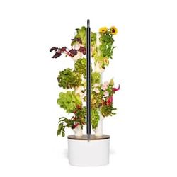Gardyn Studio 2 Hydroponic home garden