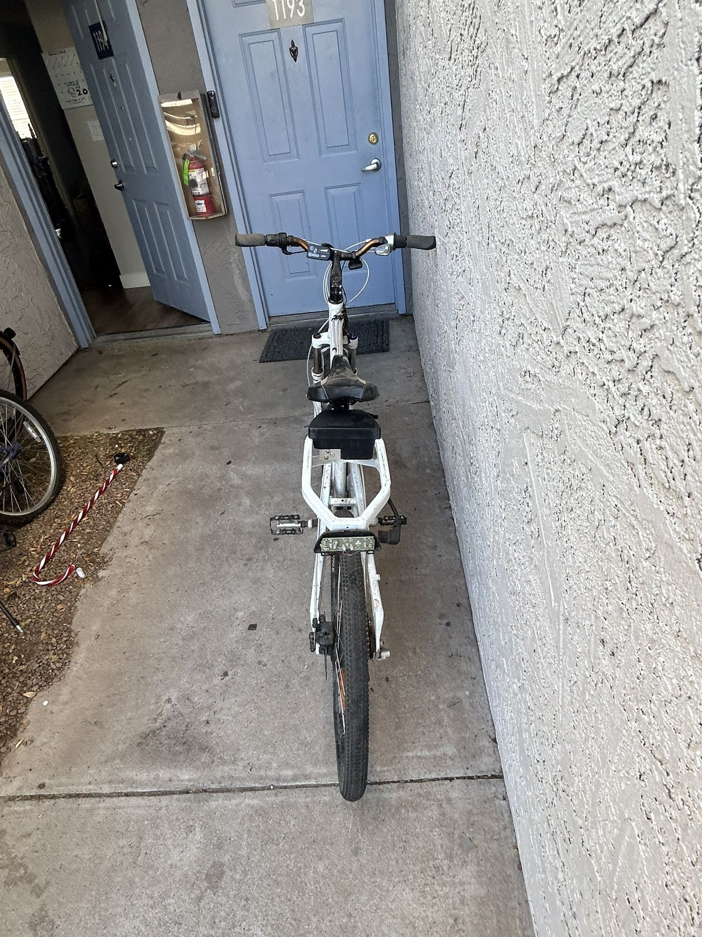 Electric Bike