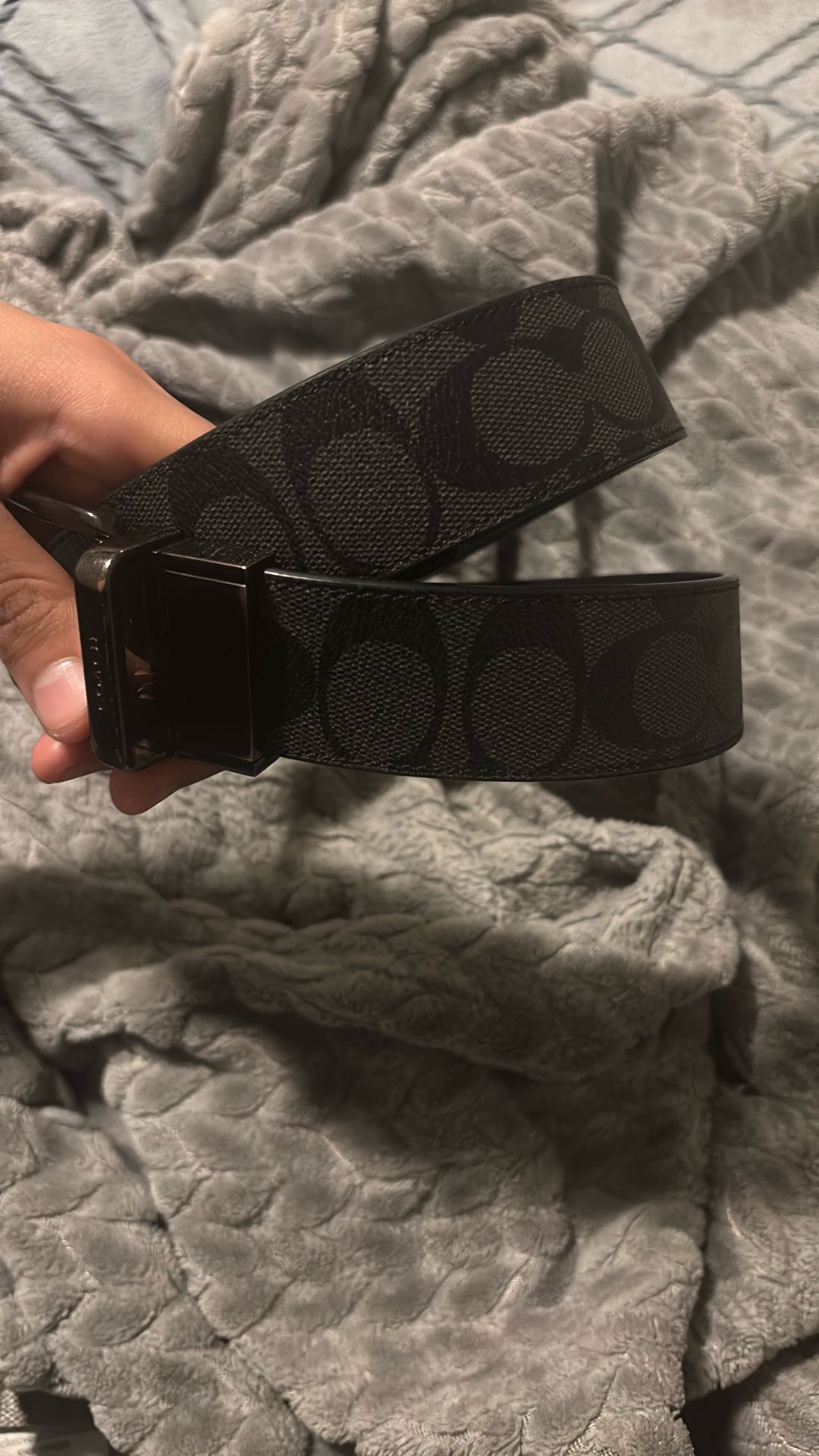 coach belt