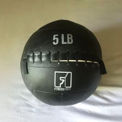 Fitness First 5LB Wall Ball(soft) 70% Off
