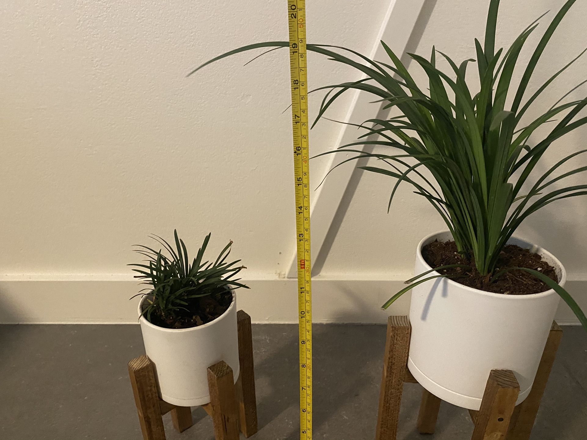 House Plants Planters and Stands Set Of 3