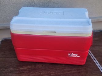 IGLOO 40 portable cooler