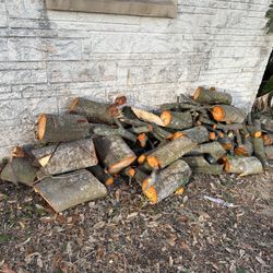 OAK Firewood Logs - You Haul