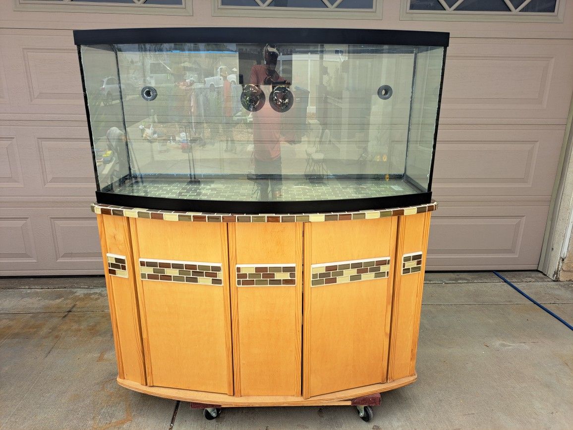 75 Gallon Fish Tank & Stand & Pumps