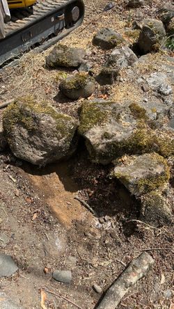 Free rocks