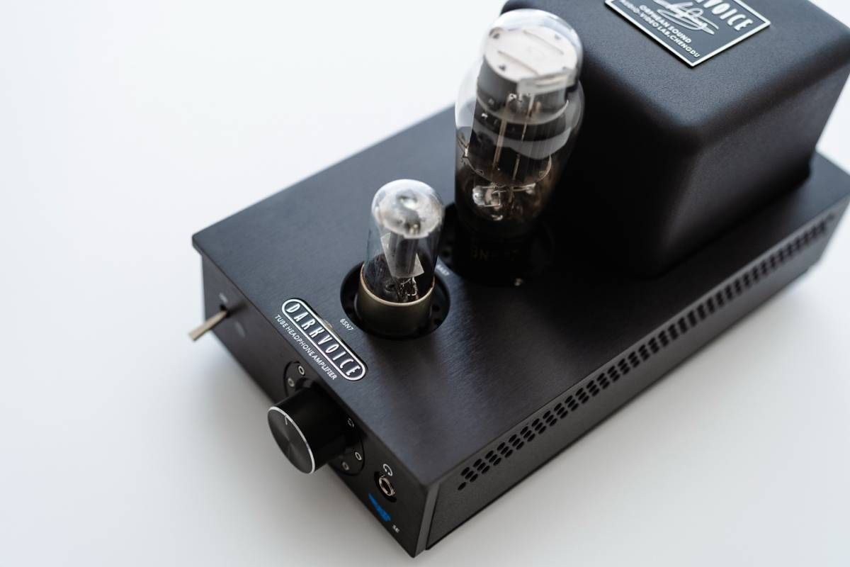 Darkvoice 336SE Tube Amp