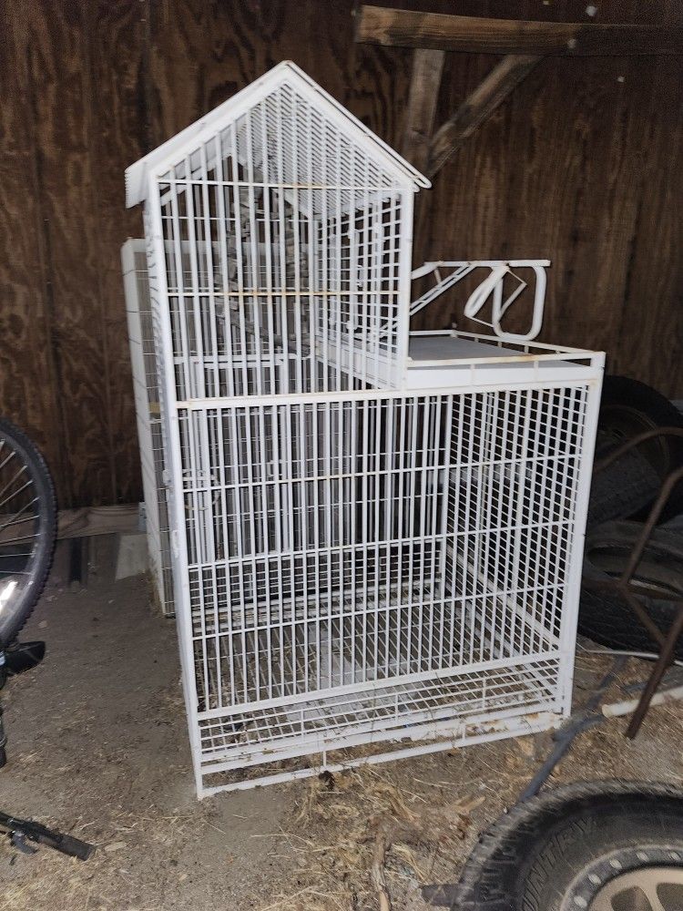 Bird Cage
