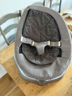 Nuna Curve Leaf Baby Swing