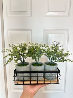 Artificial Plants in Basket