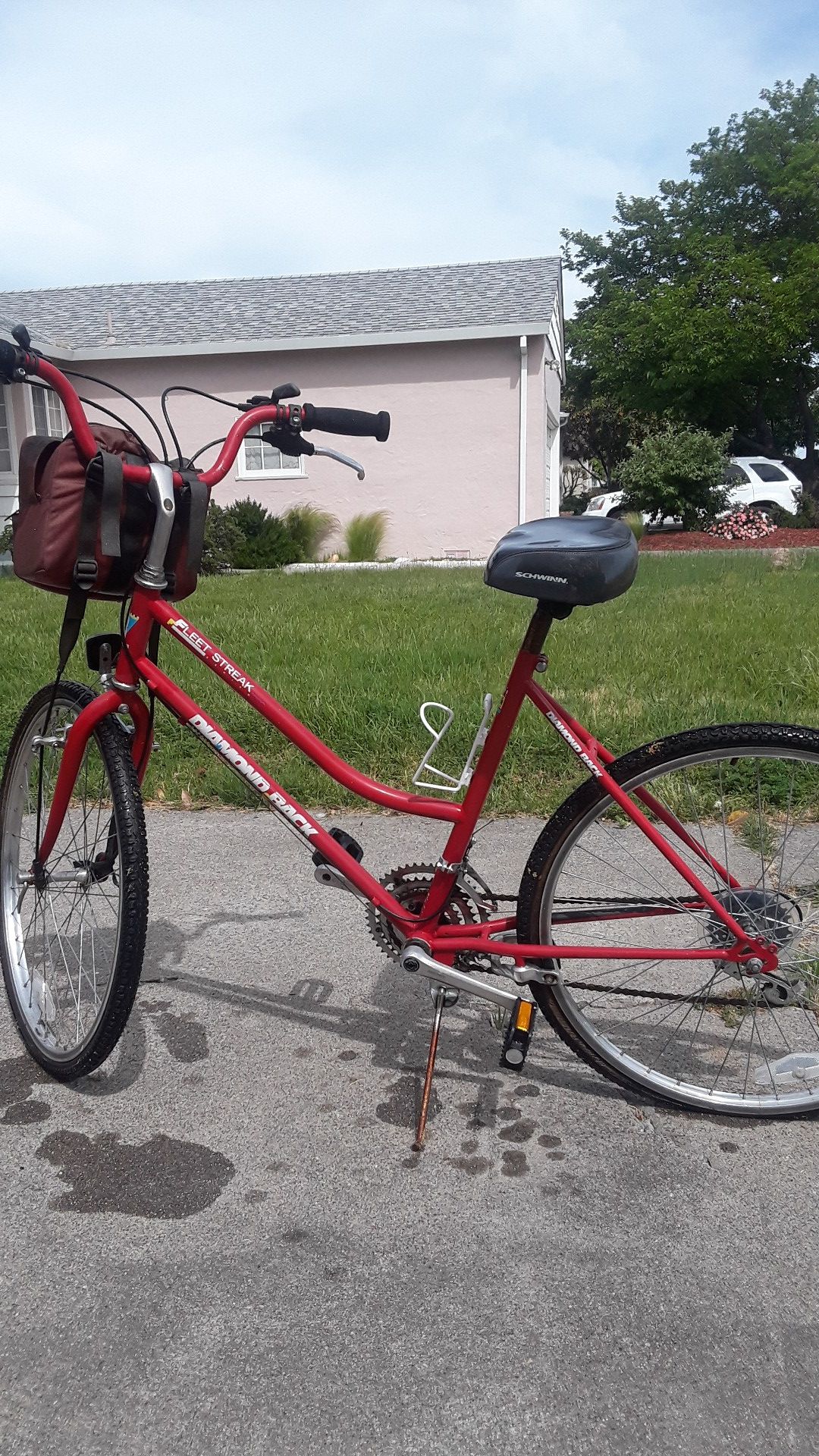 vintage diamondback fleet streak