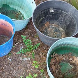 Outdoor Planting Pots 10-15 Gallon 