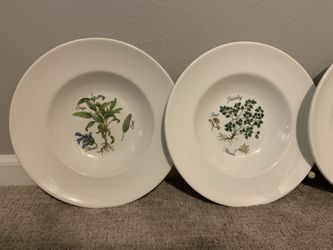 Pasta Or Soup Bowls SUR LA TABLE